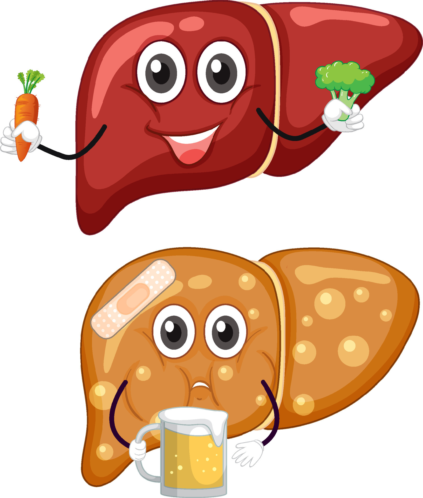 Healthy liver and fatty liver cartoon character 6236037 Vector Art at  Vecteezy