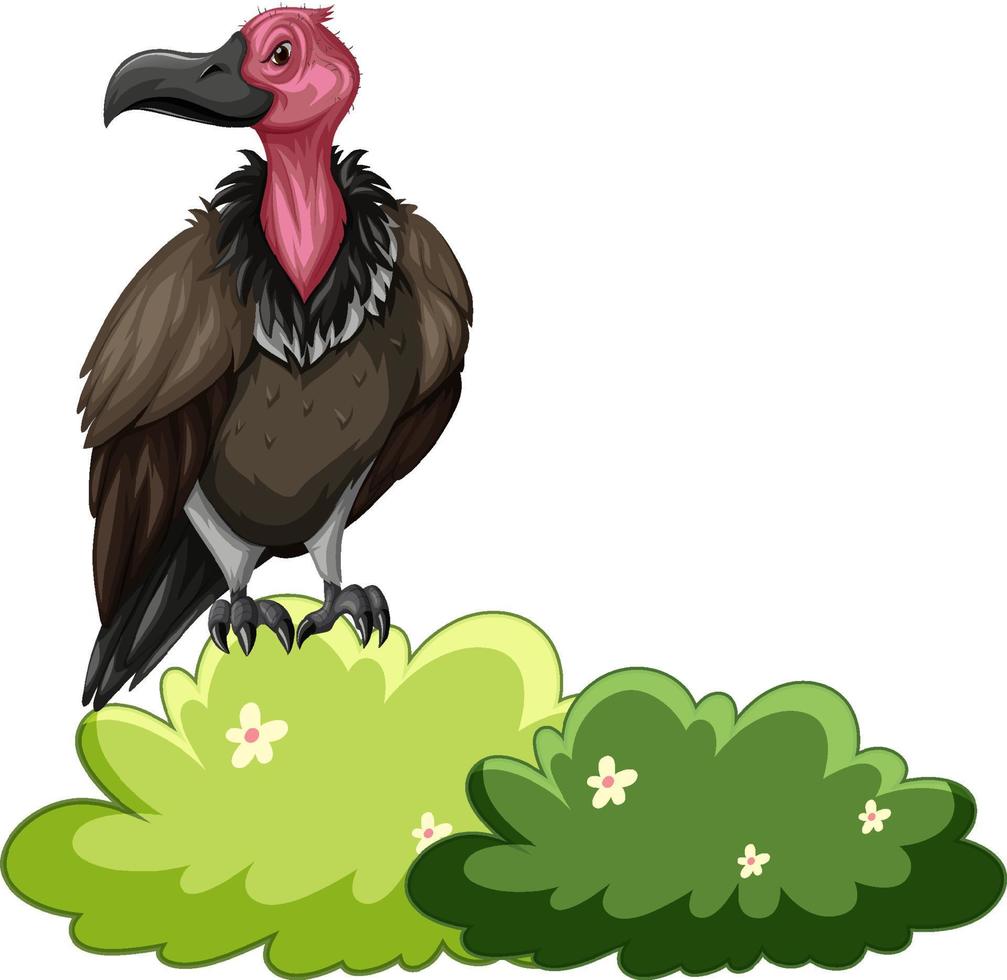 Vulture bird standing in the bush vector