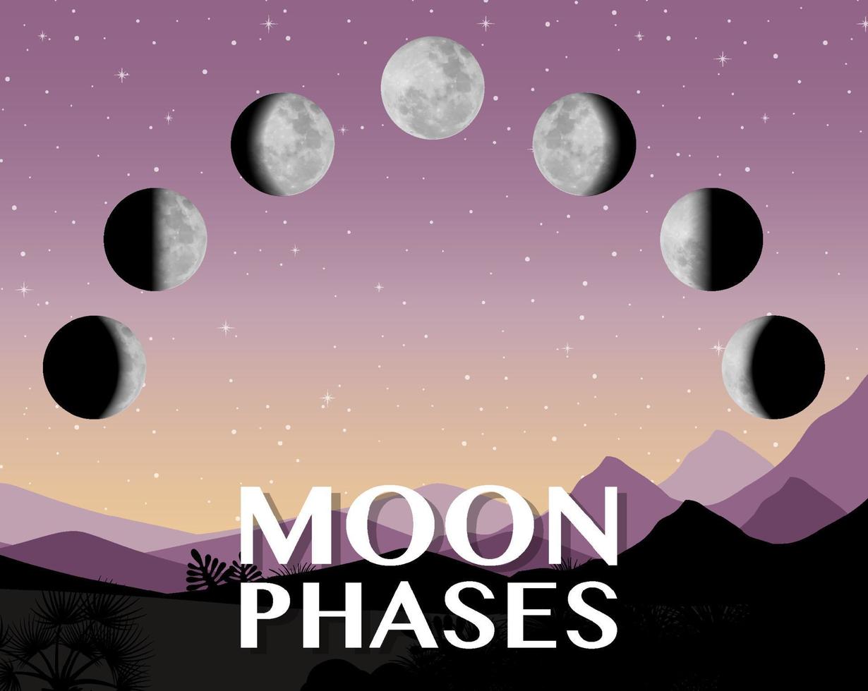 Phases of the moon for science education vector