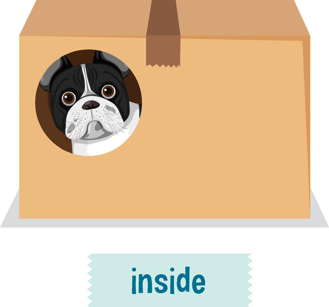 Preposition of place with cartoon dog and a box vector