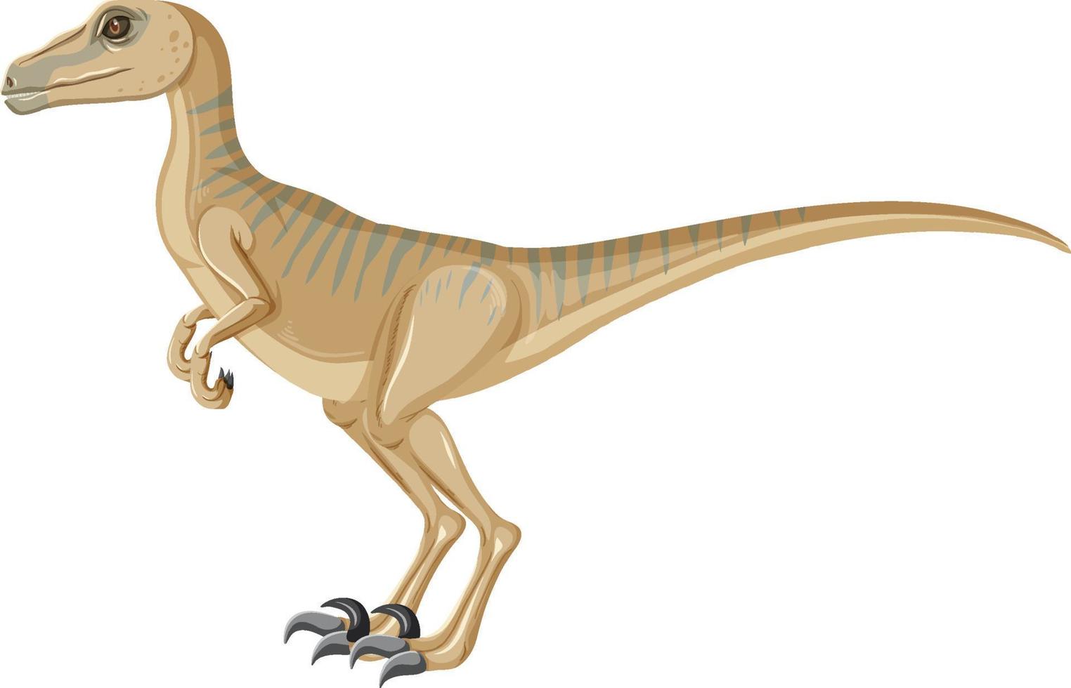 Velociraptor dinosaur on white background vector