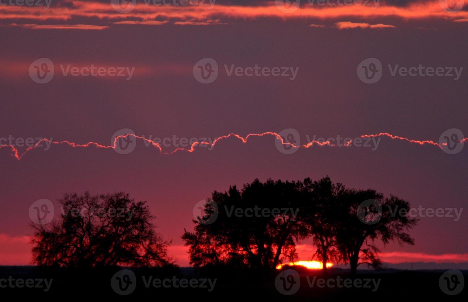 Sun setting behind trees photo
