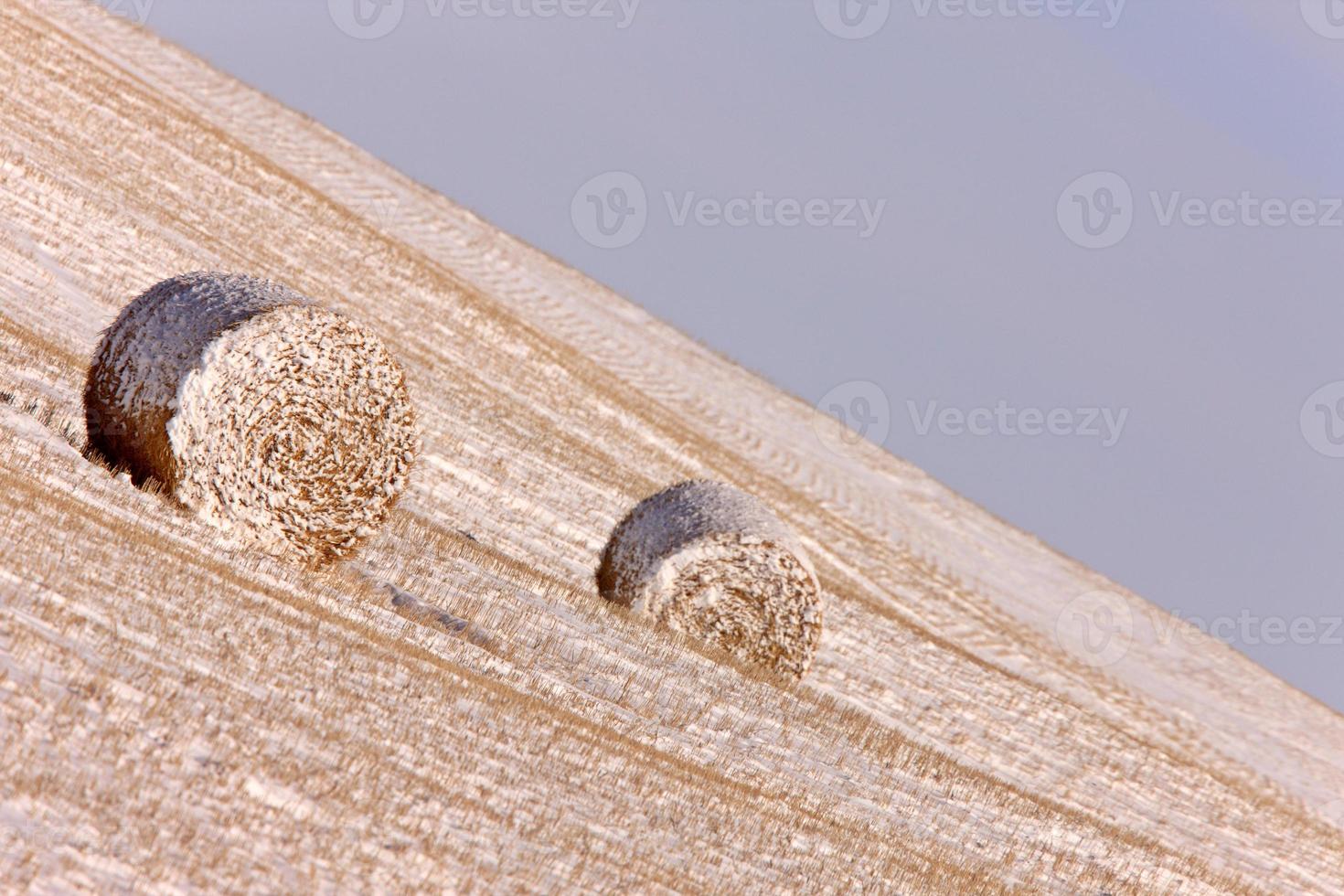 Bales of Hay in Winter Canada photo