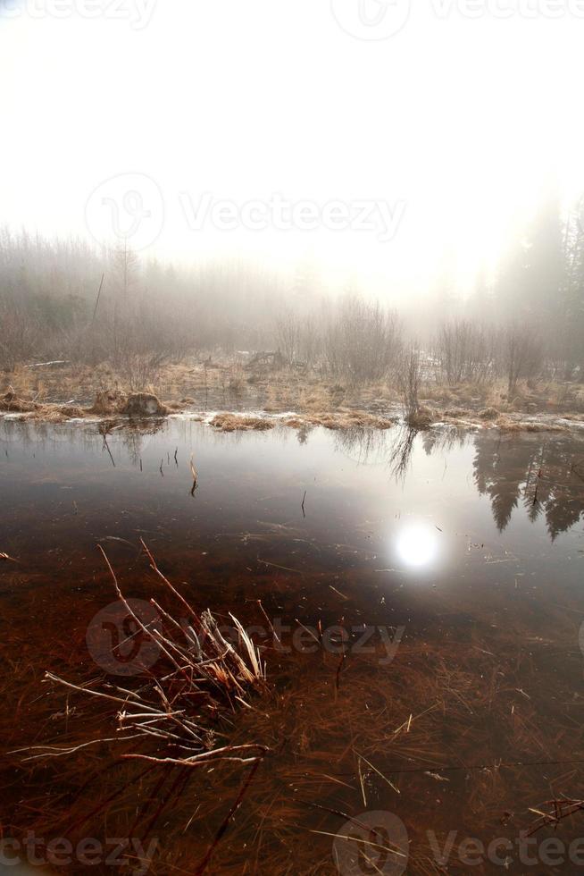 Misty Morning Lake  in Spring Saskatchewan photo