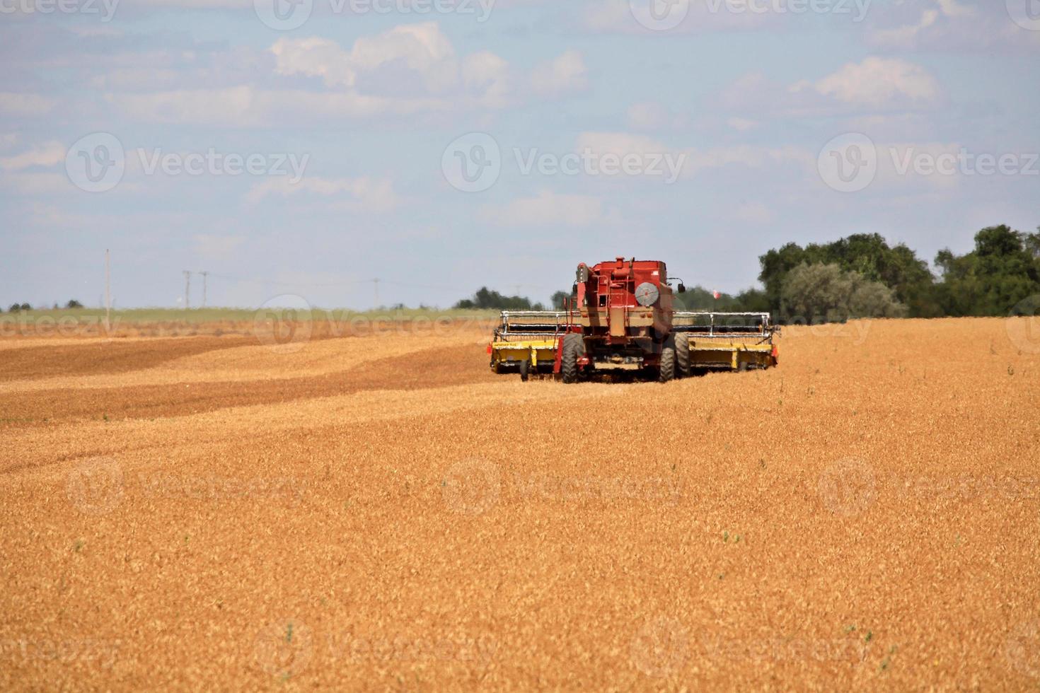 Combine in a harvested field in scenic Saskatchewan photo