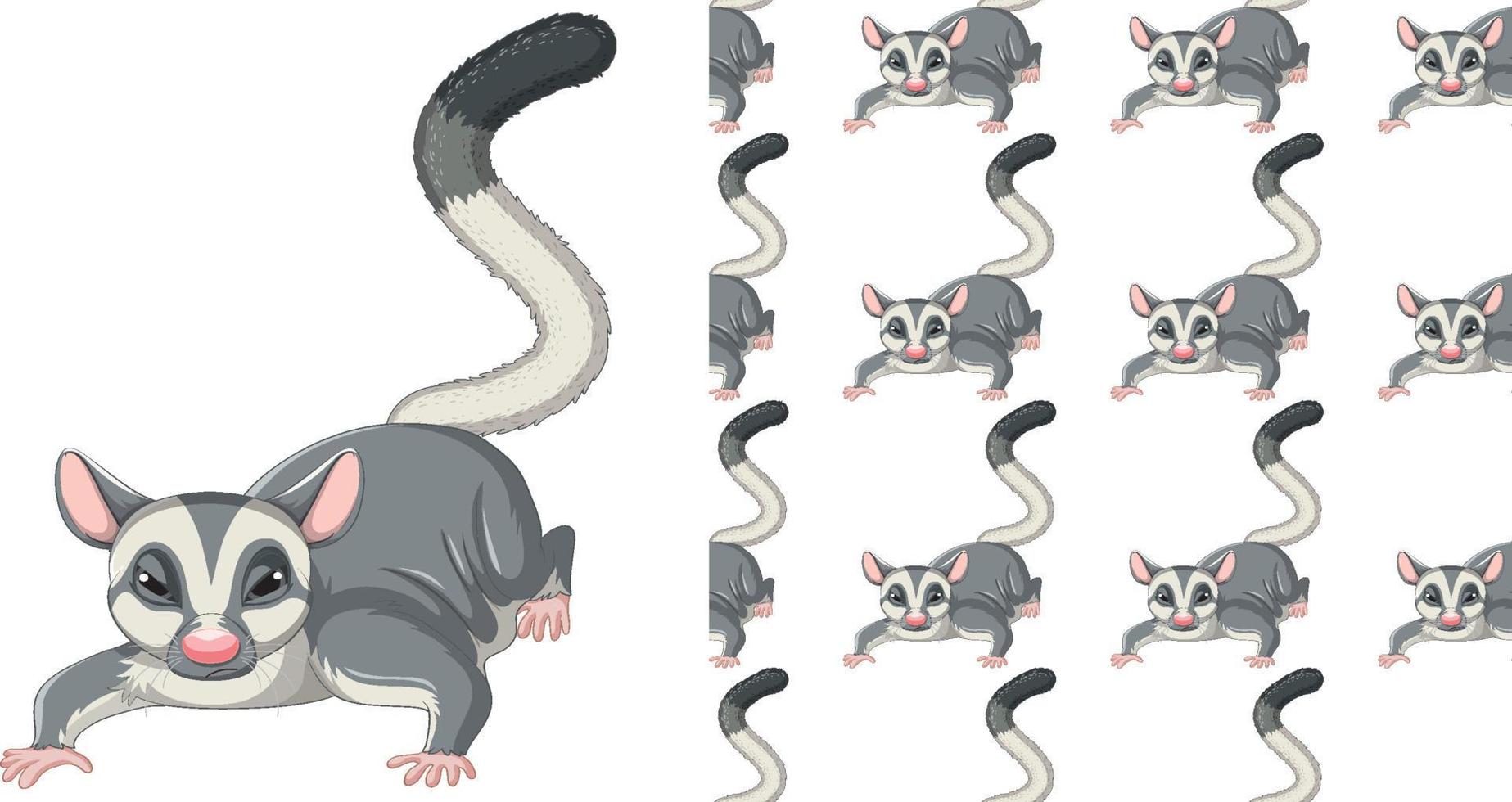 Seamless design of sugar glider  on white background vector