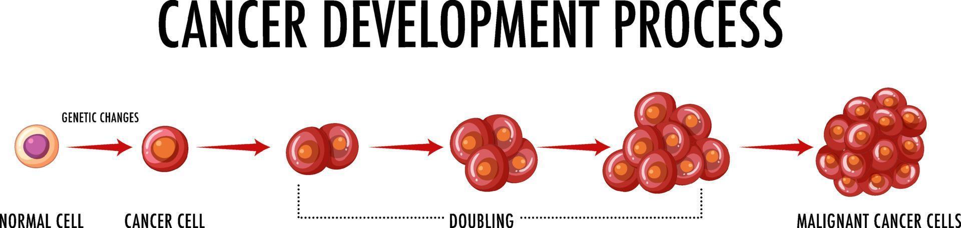 Cancer development process infographic vector