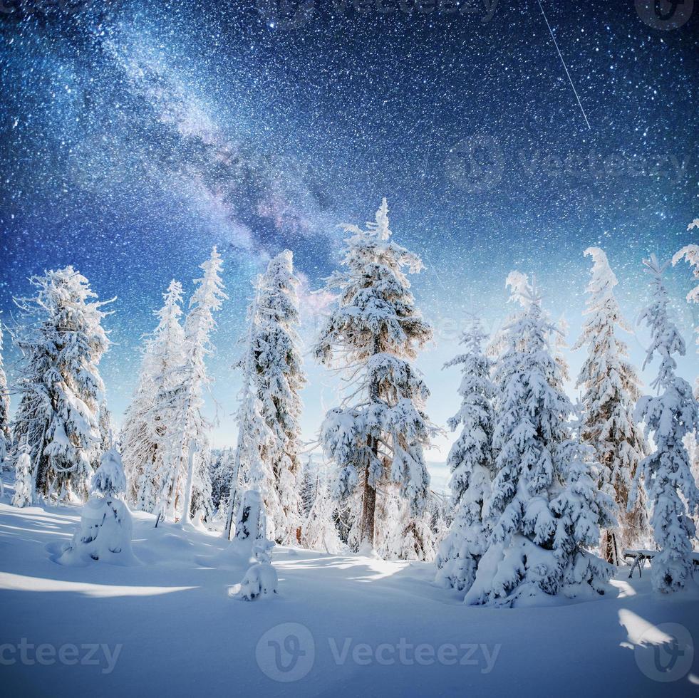 starry sky in winter snowy night. fantastic milky way in the New Year's Eve. In anticipation of the holiday. Dramatic scene. Carpathian. Ukraine photo