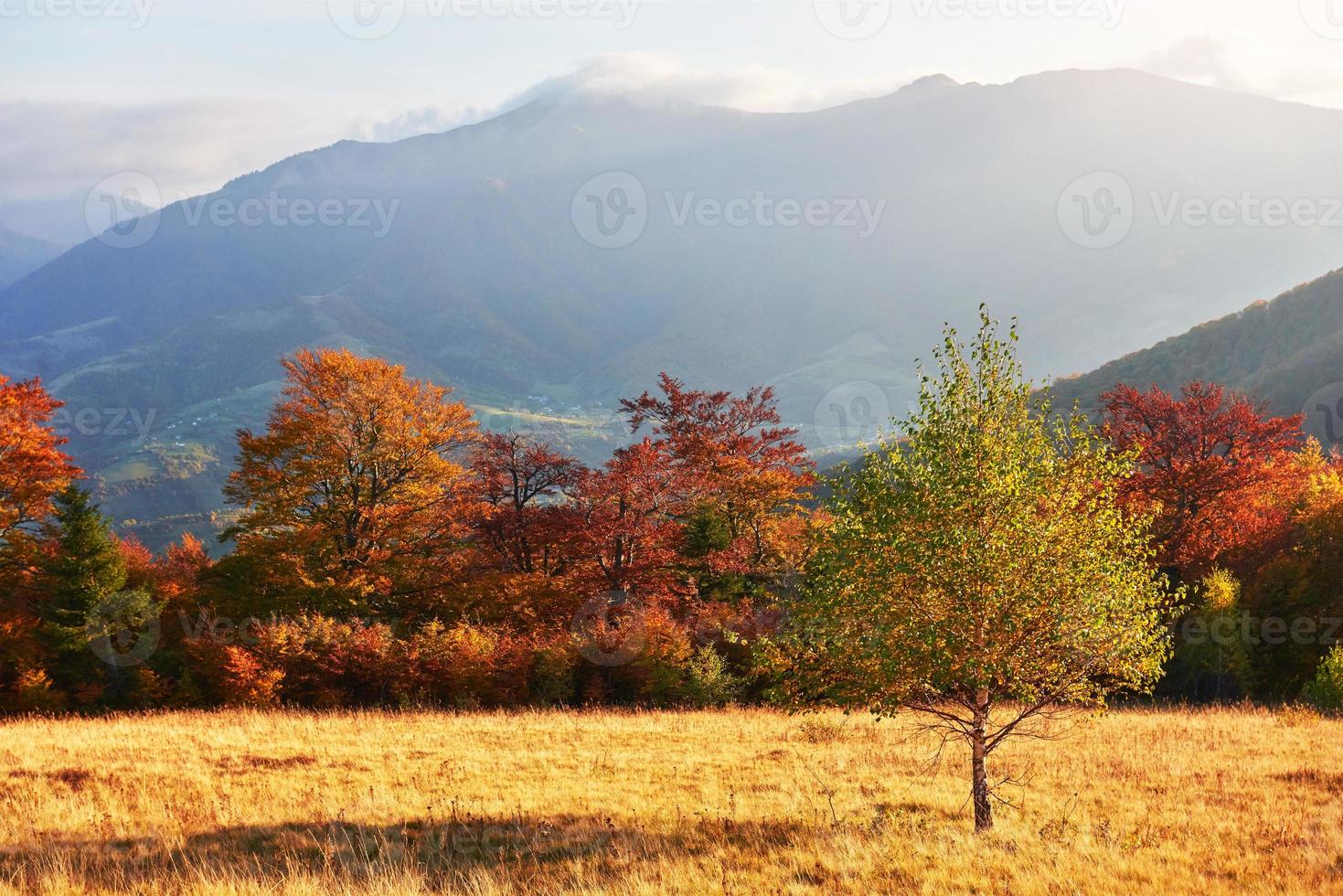 otoño en la montaña, paisaje asombroso foto