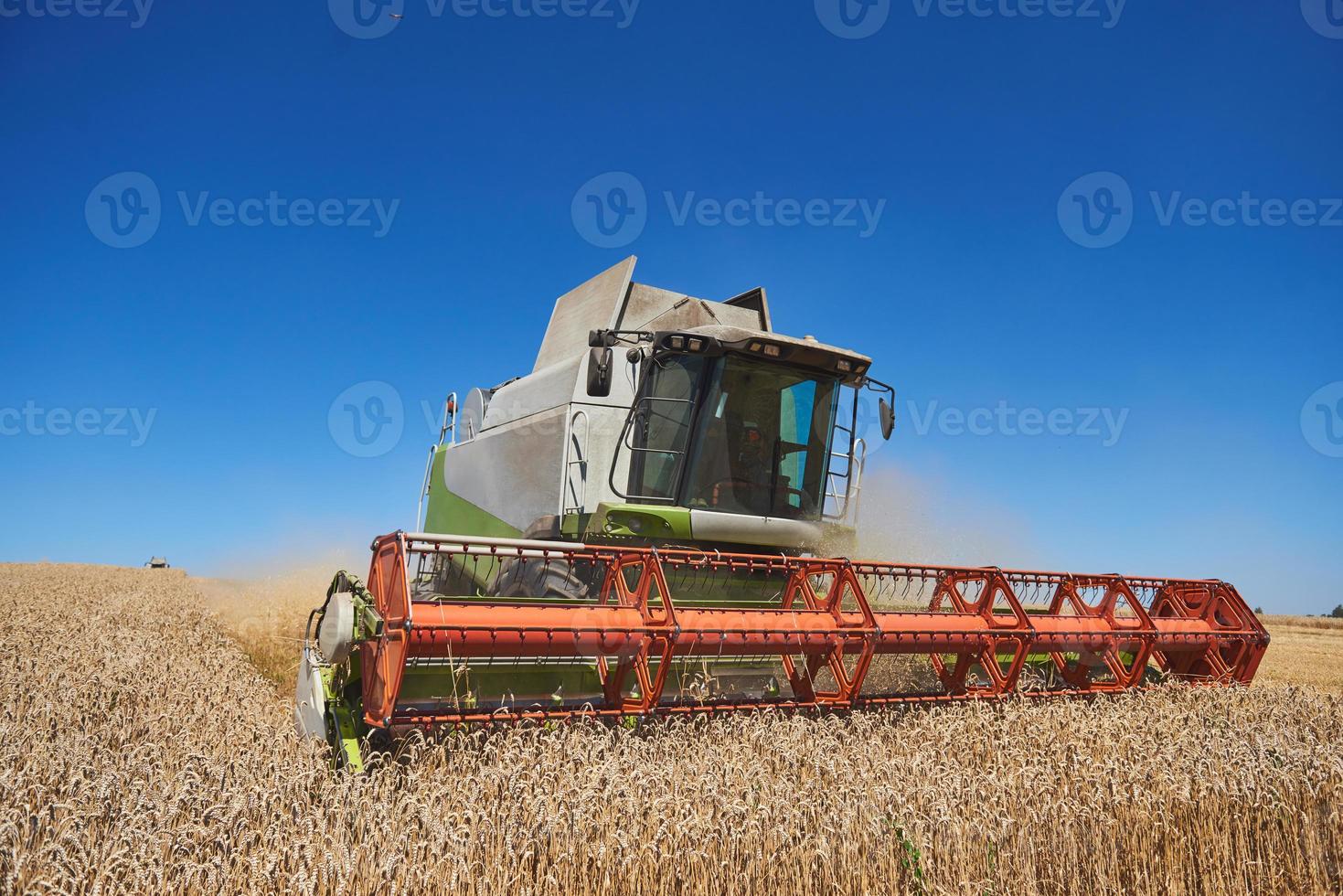 A modern combine harvester working a wheat field photo