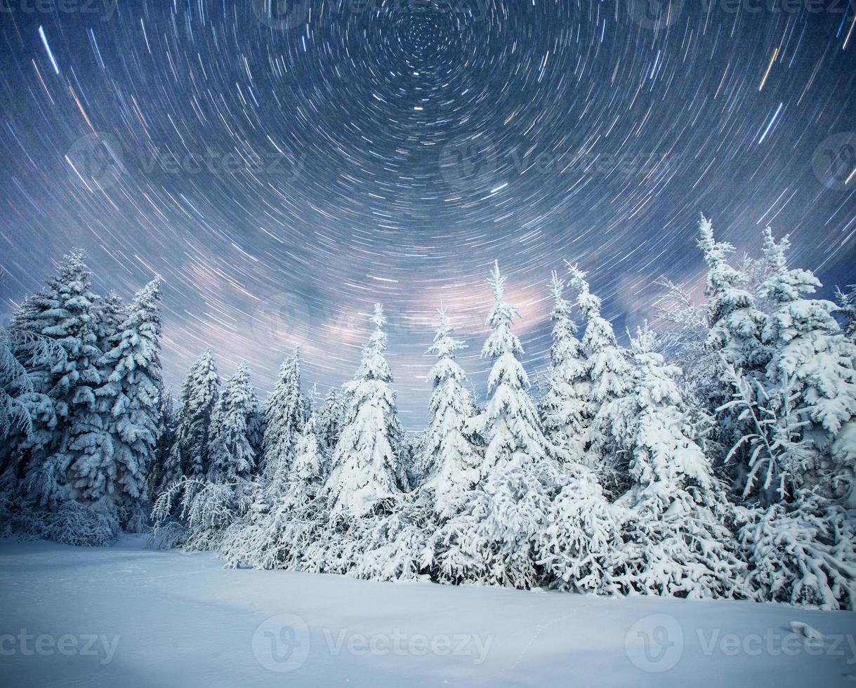 starry sky in winter snowy night. fantastic milky way in the New Year's Eve. In anticipation of the holiday. Dramatic scene. Carpathian. Ukraine photo