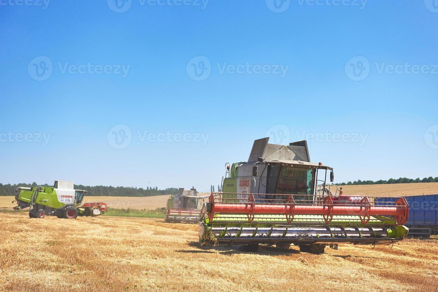 Cosechadora trabajando en un campo de trigo foto