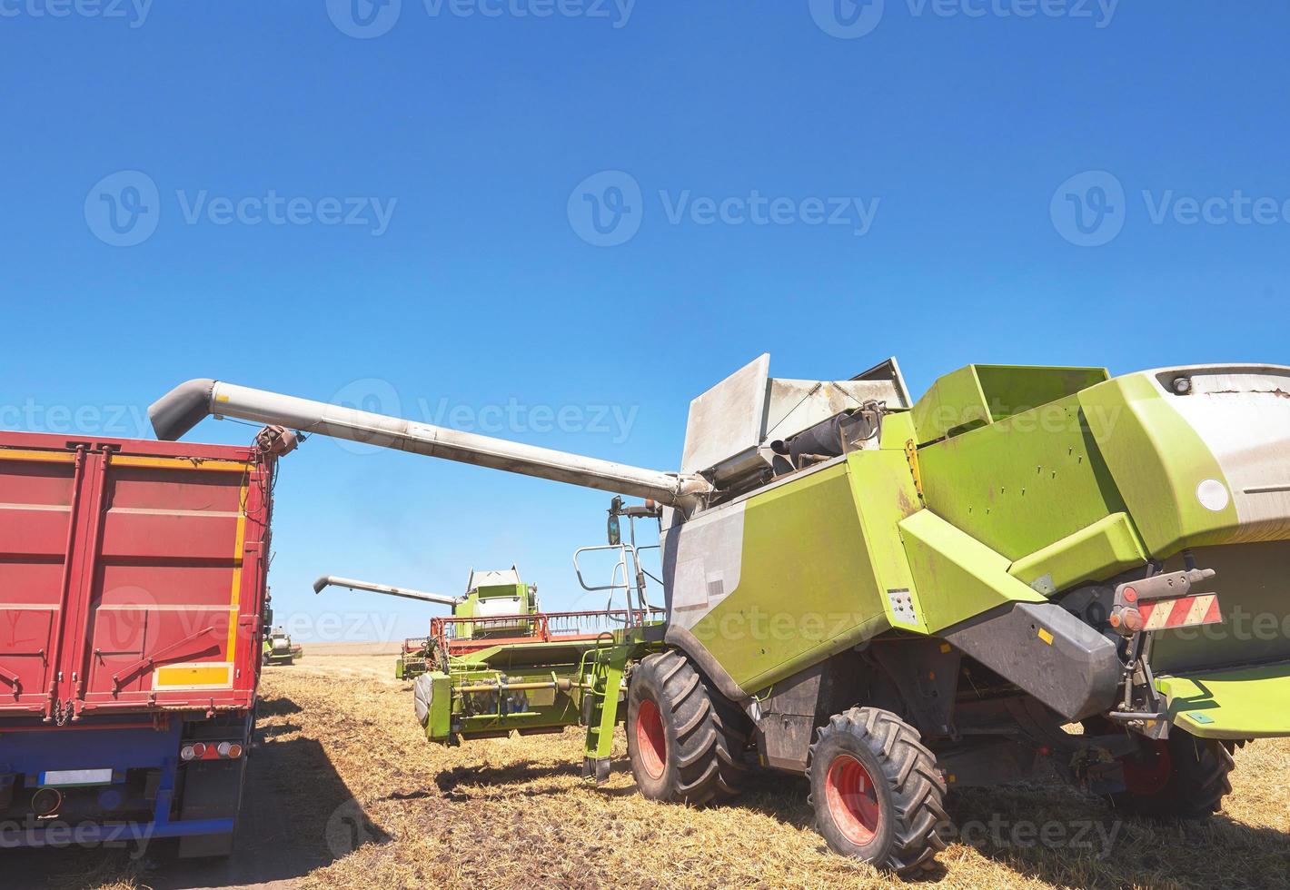 Combine harvester in action on wheat field. Harvesting is the process of gathering a ripe crop from the fields photo