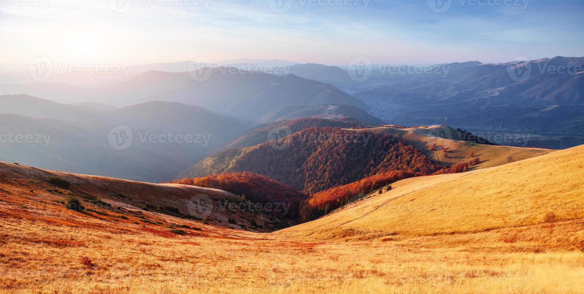 birch forest in sunny afternoon while autumn season. Autumn Landscape. photo