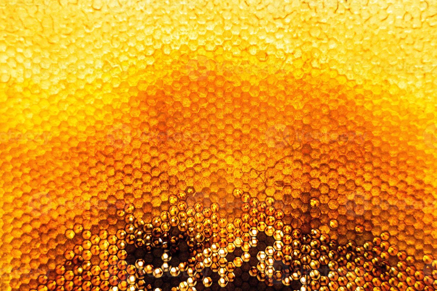 Honeycomb from bee hive filled with golden honey photo