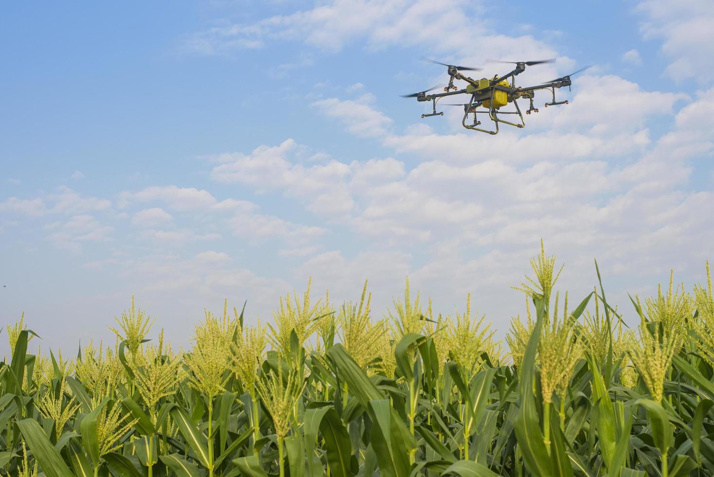 drones agrícolas volando y rociando fertilizantes y pesticidas sobre tierras de cultivo, innovaciones de alta tecnología y agricultura inteligente foto