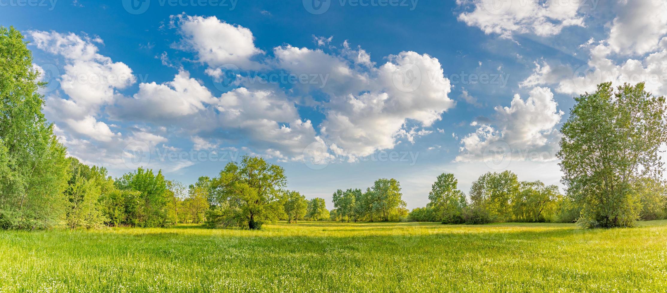 Idyllic mountain landscape with fresh green meadows and blooming wildflowers. Idyllic nature countryside view, rural outdoor natural view. idyllic banner nature, panoramic spring summer scenery photo