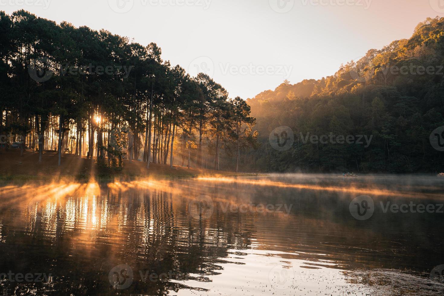 hermoso lago natural y bosque por la mañana foto