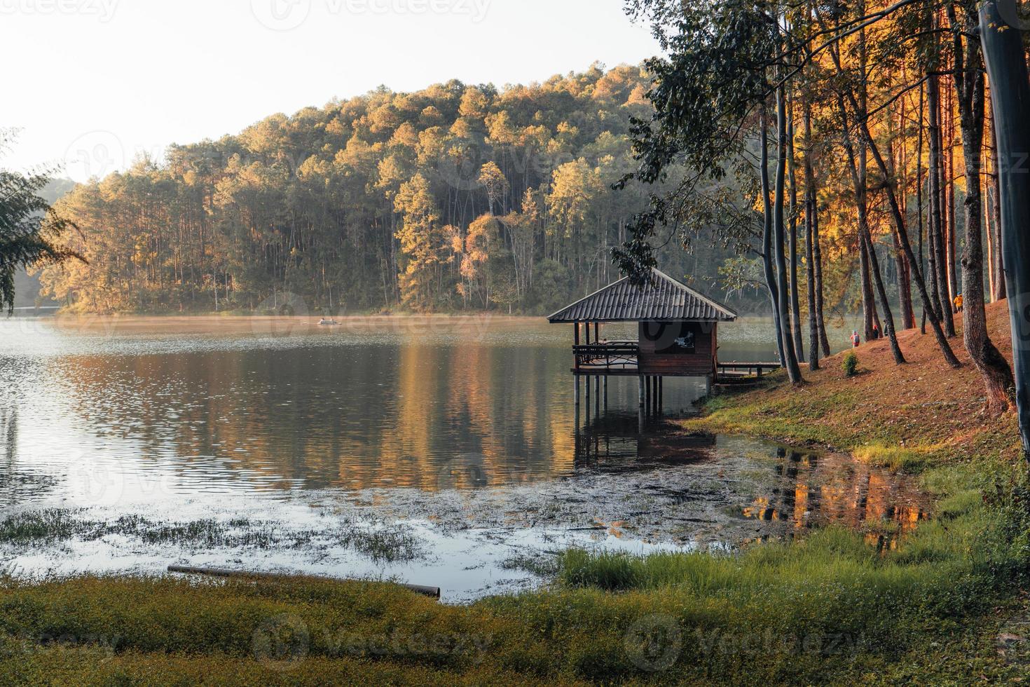 Beatiful nature lake and forest in the morning photo