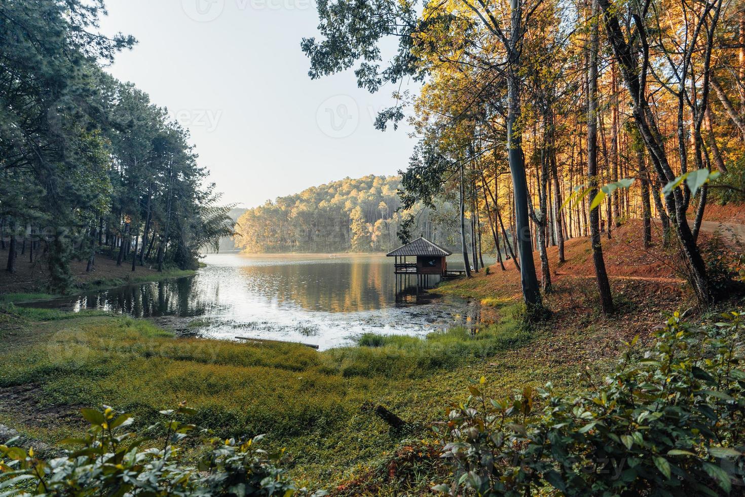 hermoso lago natural y bosque por la mañana foto