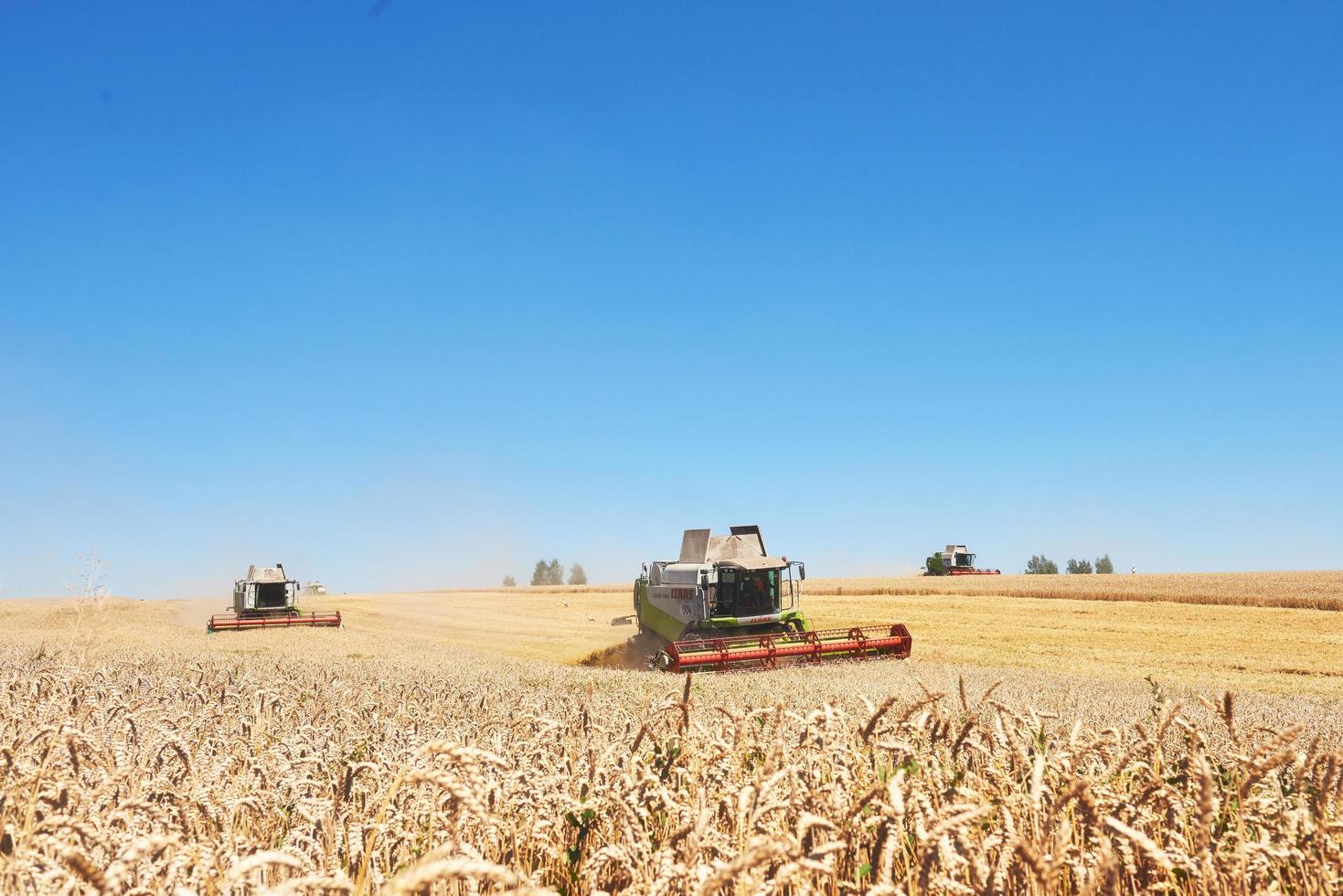 ternopil - 20 de julio. Algunas cosechadoras cortan una franja en medio de un campo de trigo durante la cosecha el 20 de julio de 2017, en ternopil foto