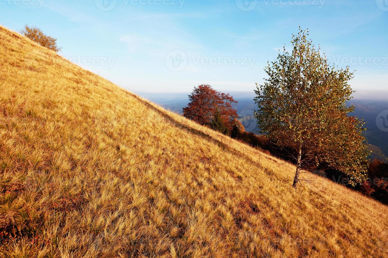 Autumn in mountain, amazing landscape photo