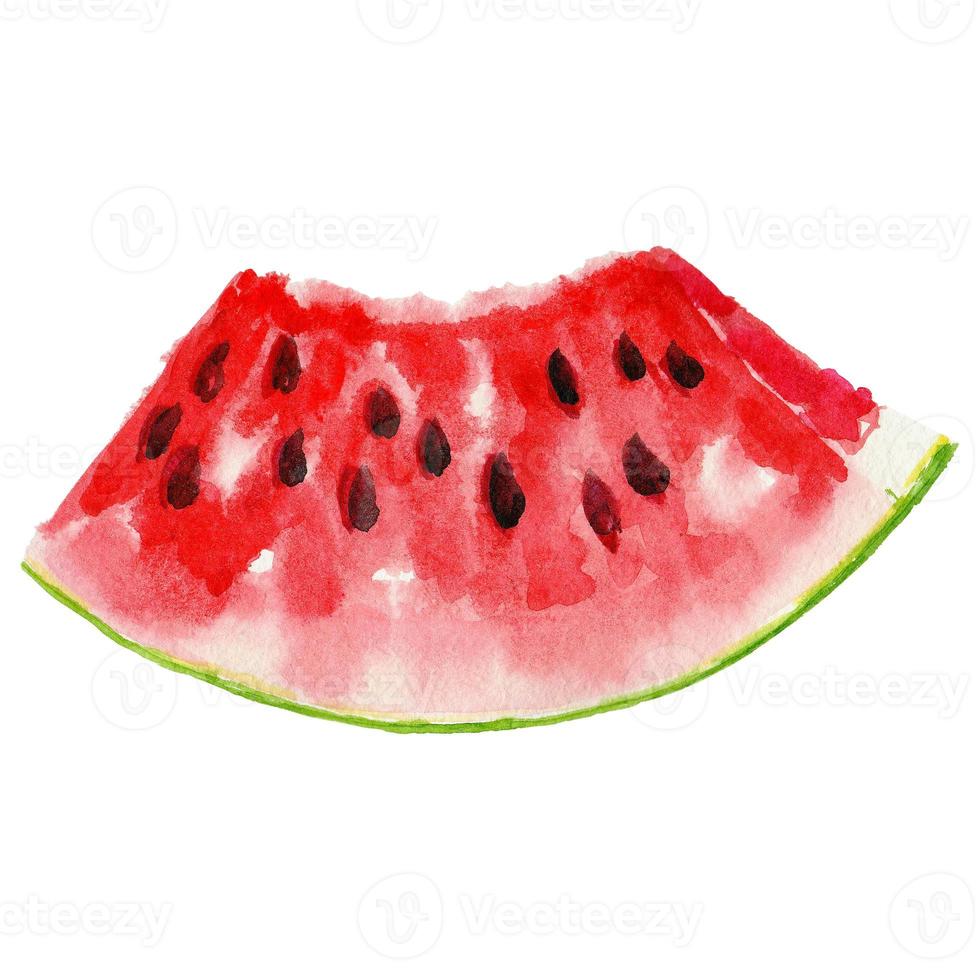 watercolor hand painted slice of watermelon photo