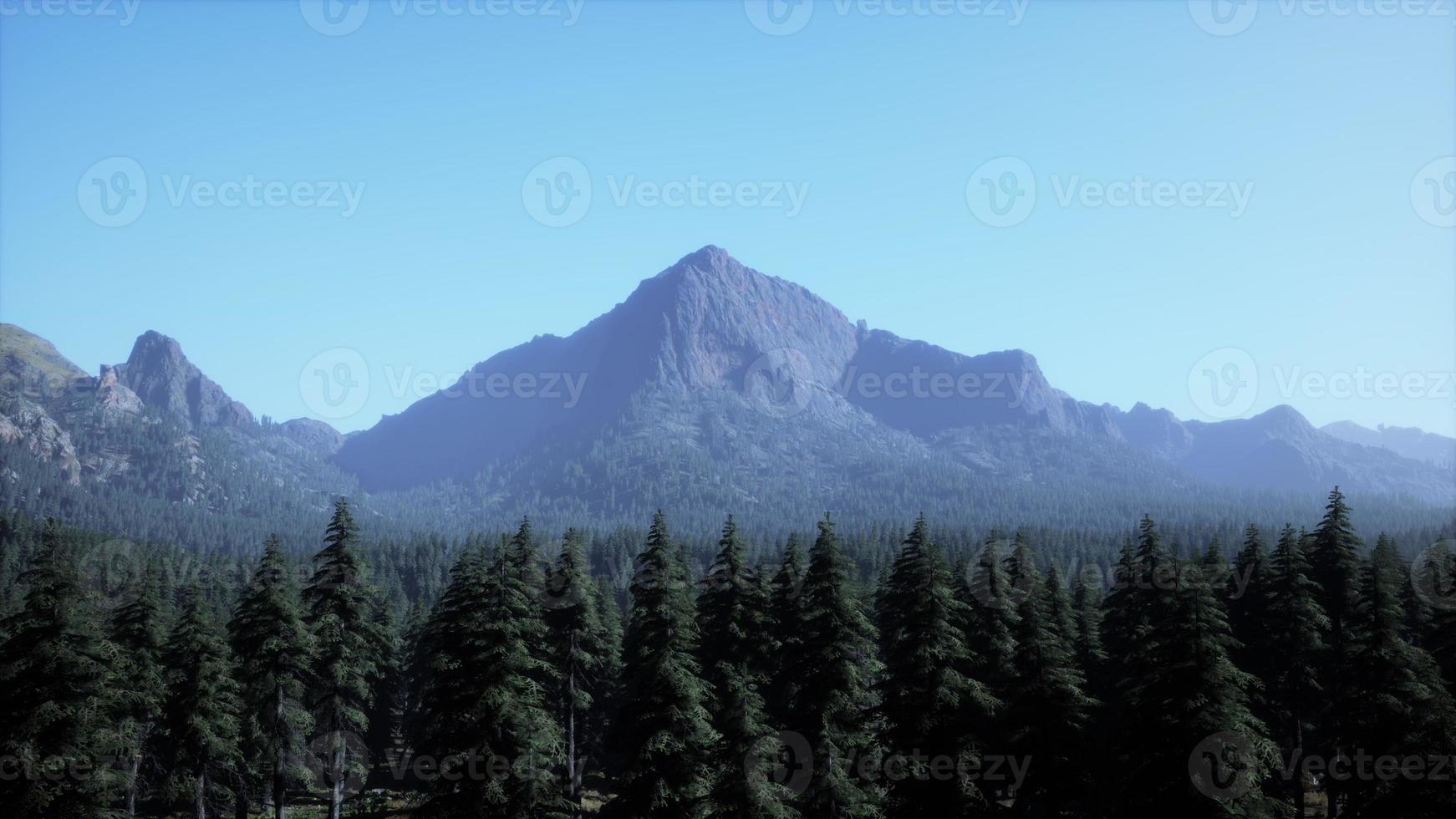 majestic mountains with forest foreground in Canada photo