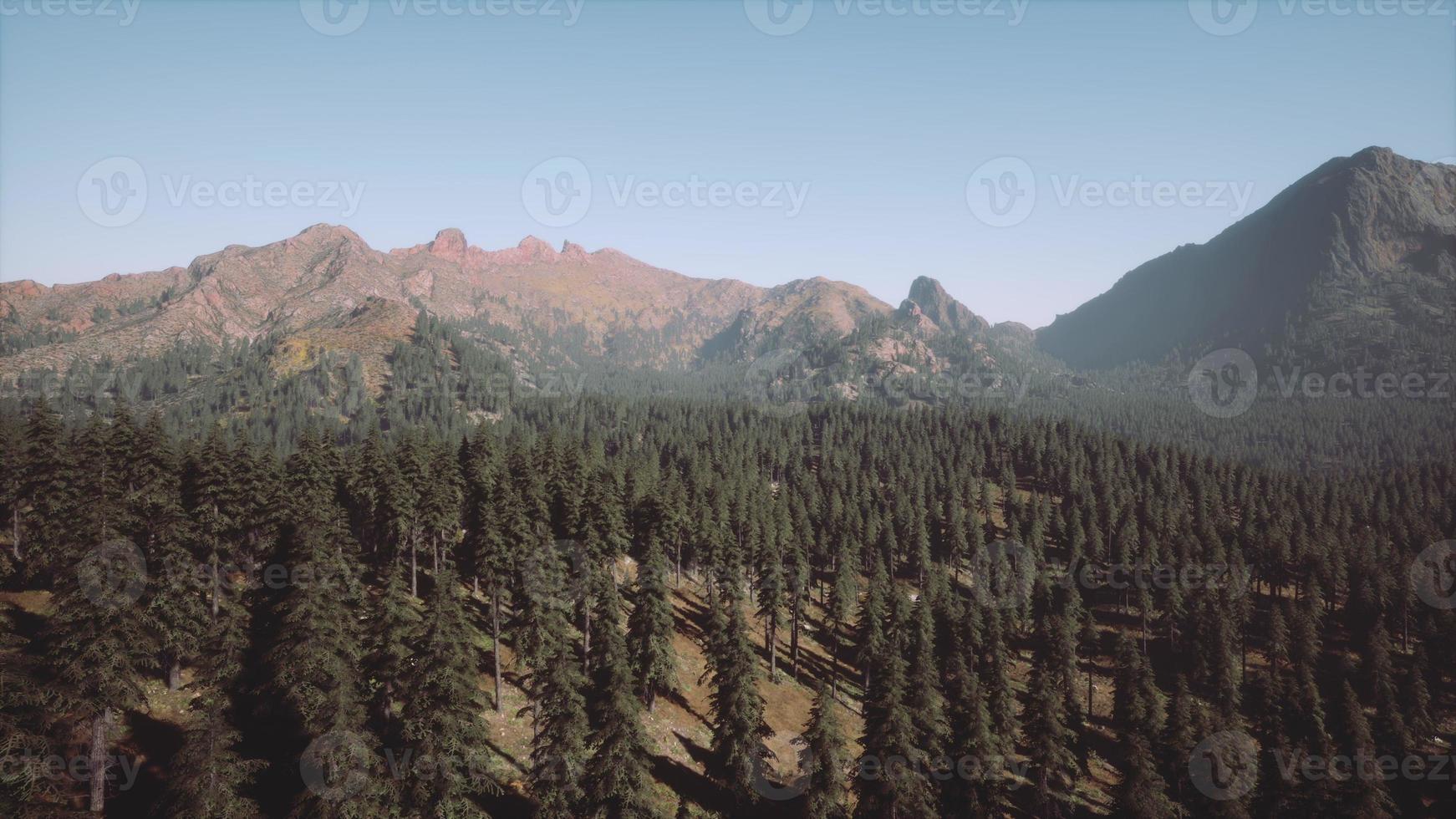 majestic mountains with forest foreground in Canada photo