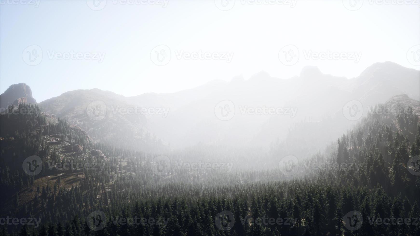 Amazing mountain views in northern Canada in summer time photo