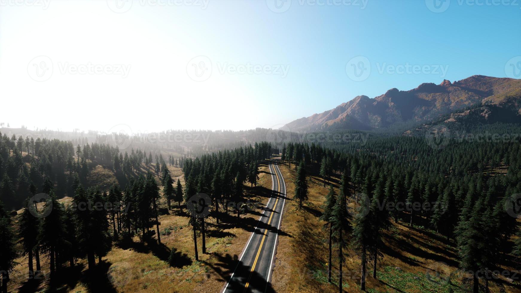 Natural Aerial view on the road and forest at the autumn time photo