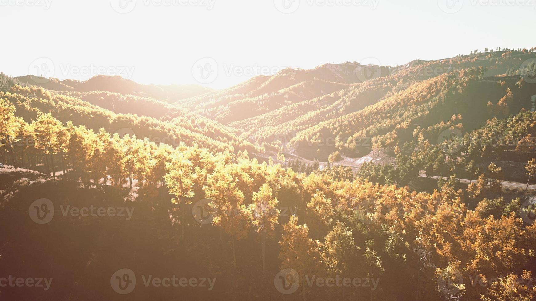 Colorful mountains range in autumn season with red orange and golden foliage photo