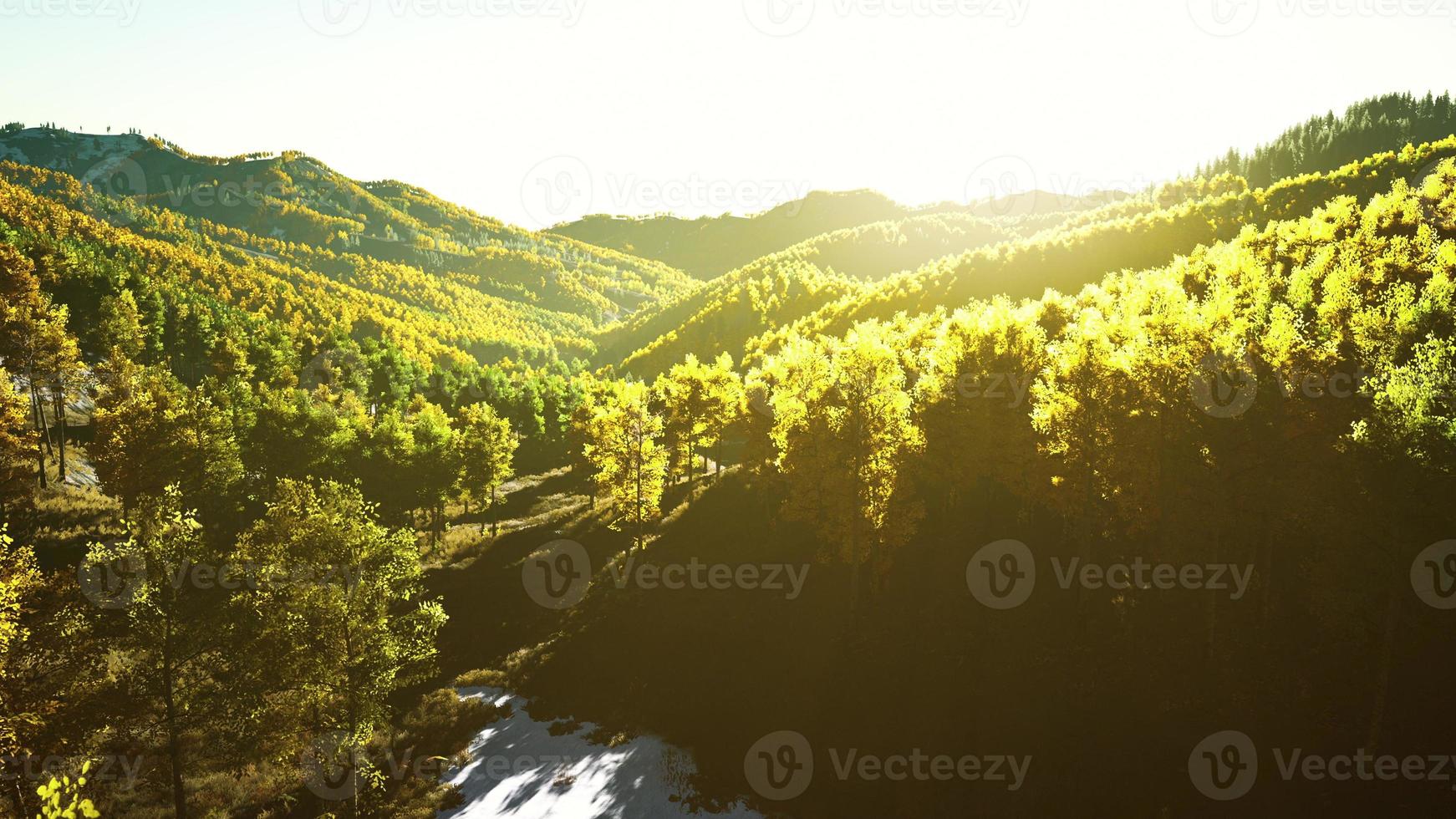 Aerial drone view of a mountain forest with colorful autumn trees photo