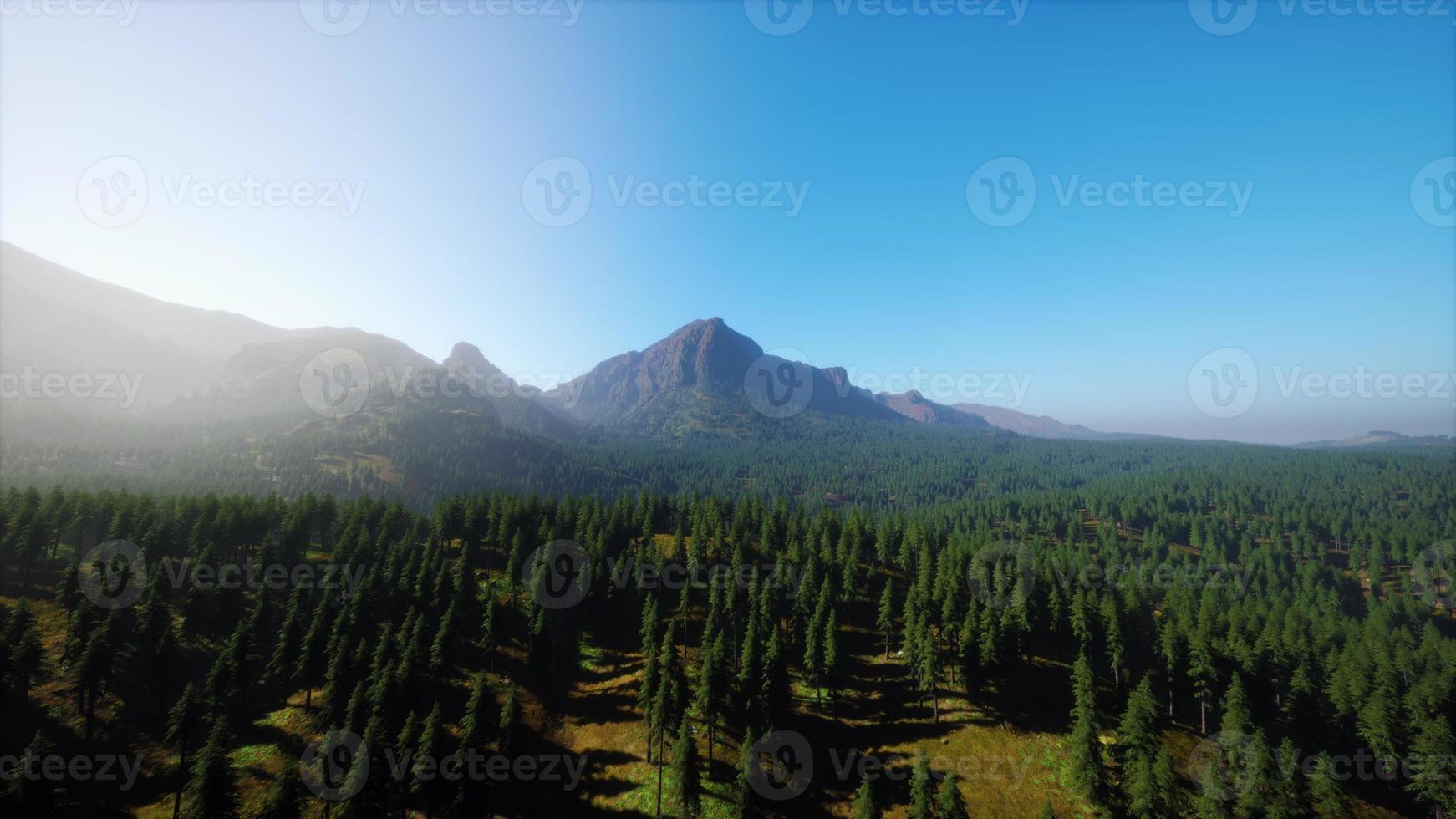 hermosa vista de la puesta de sol en el bosque de cedros frente a la cordillera de sayan foto