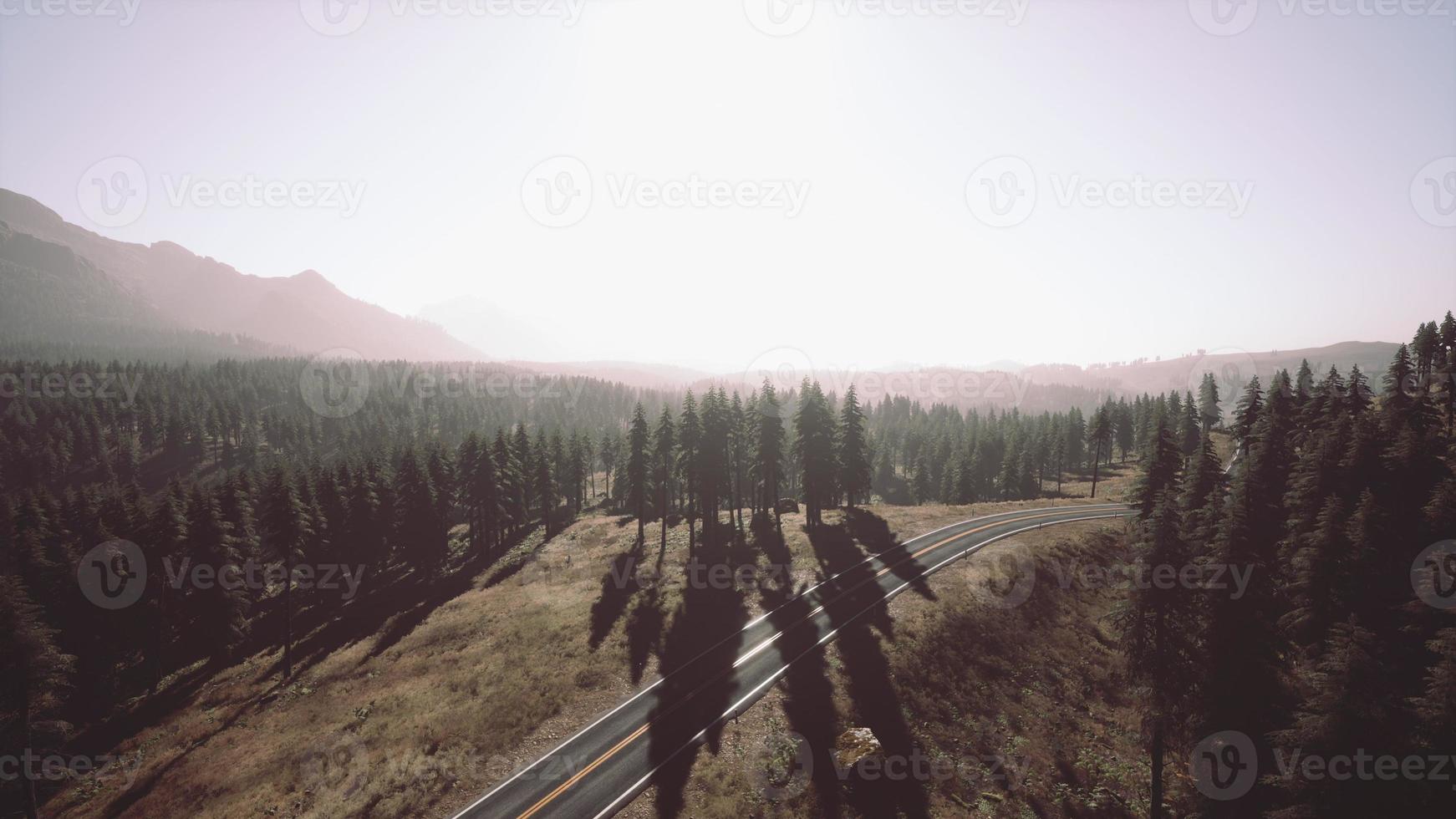 Natural Aerial view on the road and forest at the autumn time photo
