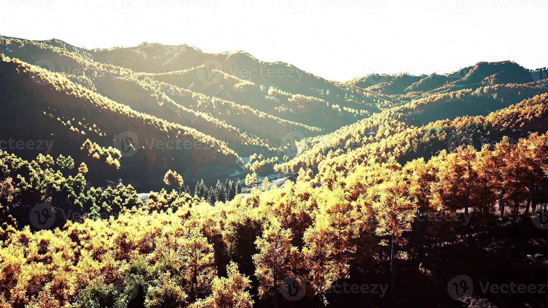 Aerial drone view of a mountain forest with colorful autumn trees photo