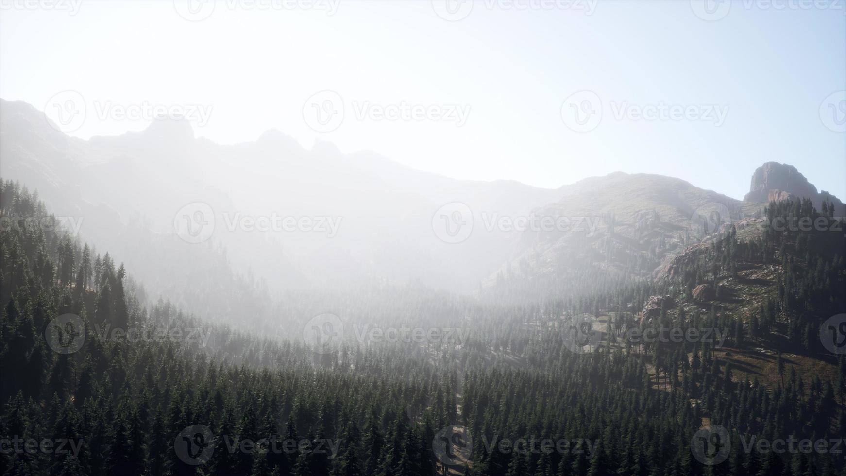 majestic mountains with forest foreground in Canada photo