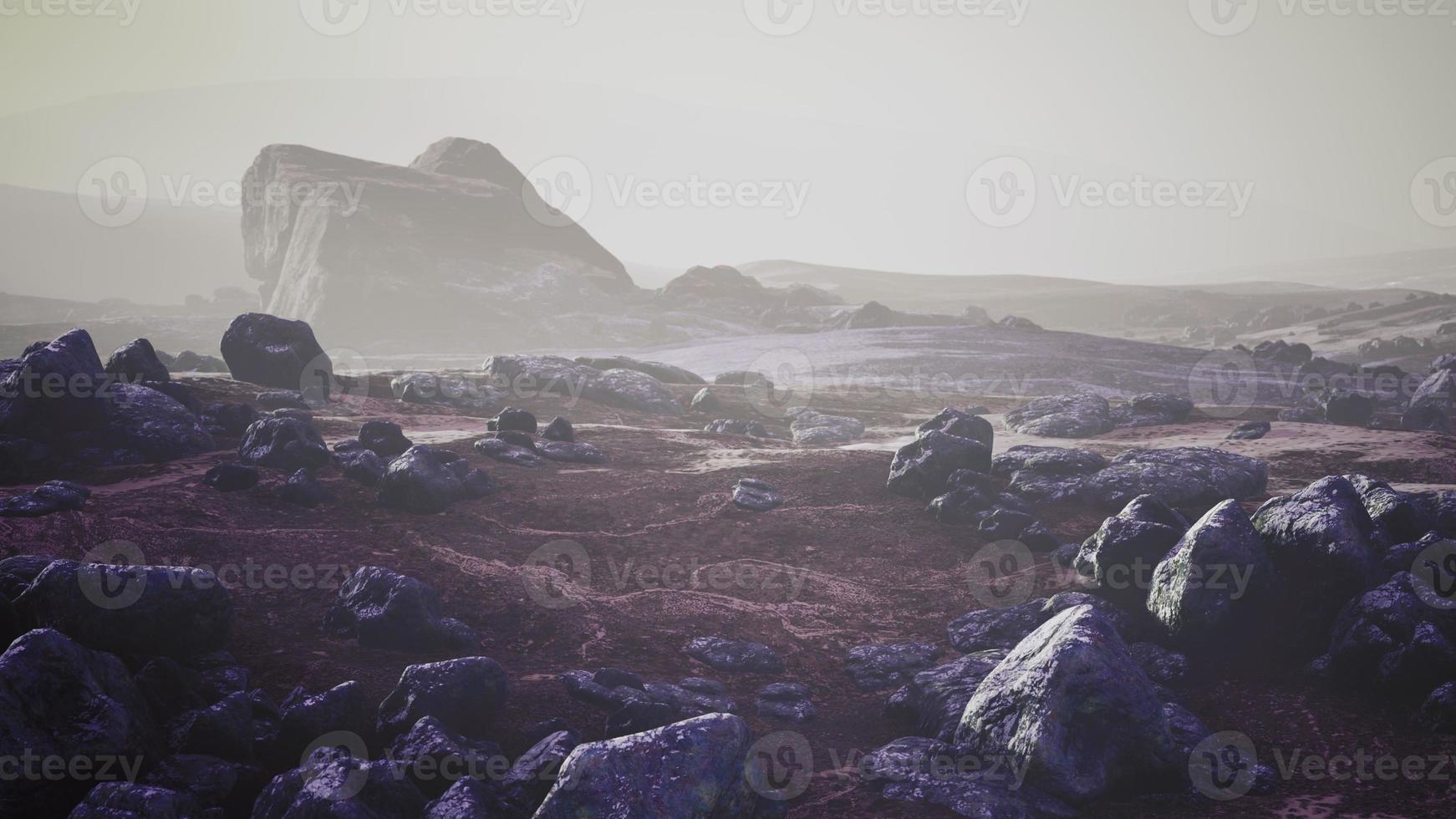 piedras en la nieve en la montaña en verano foto