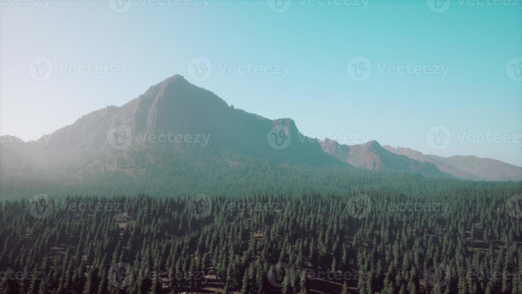 majestic mountains with forest foreground in Canada photo