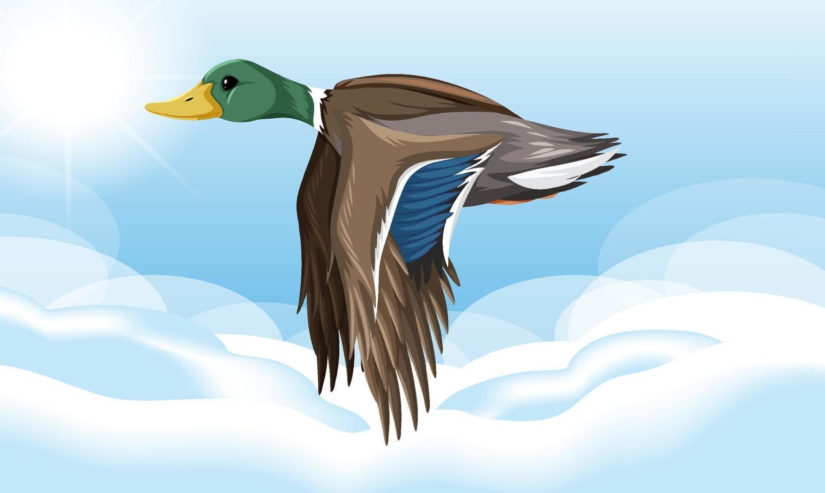 Duck flying in the sky vector