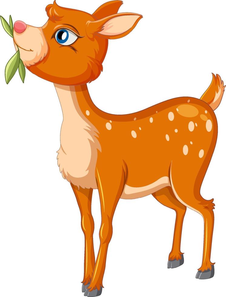 A cute deer on white background vector