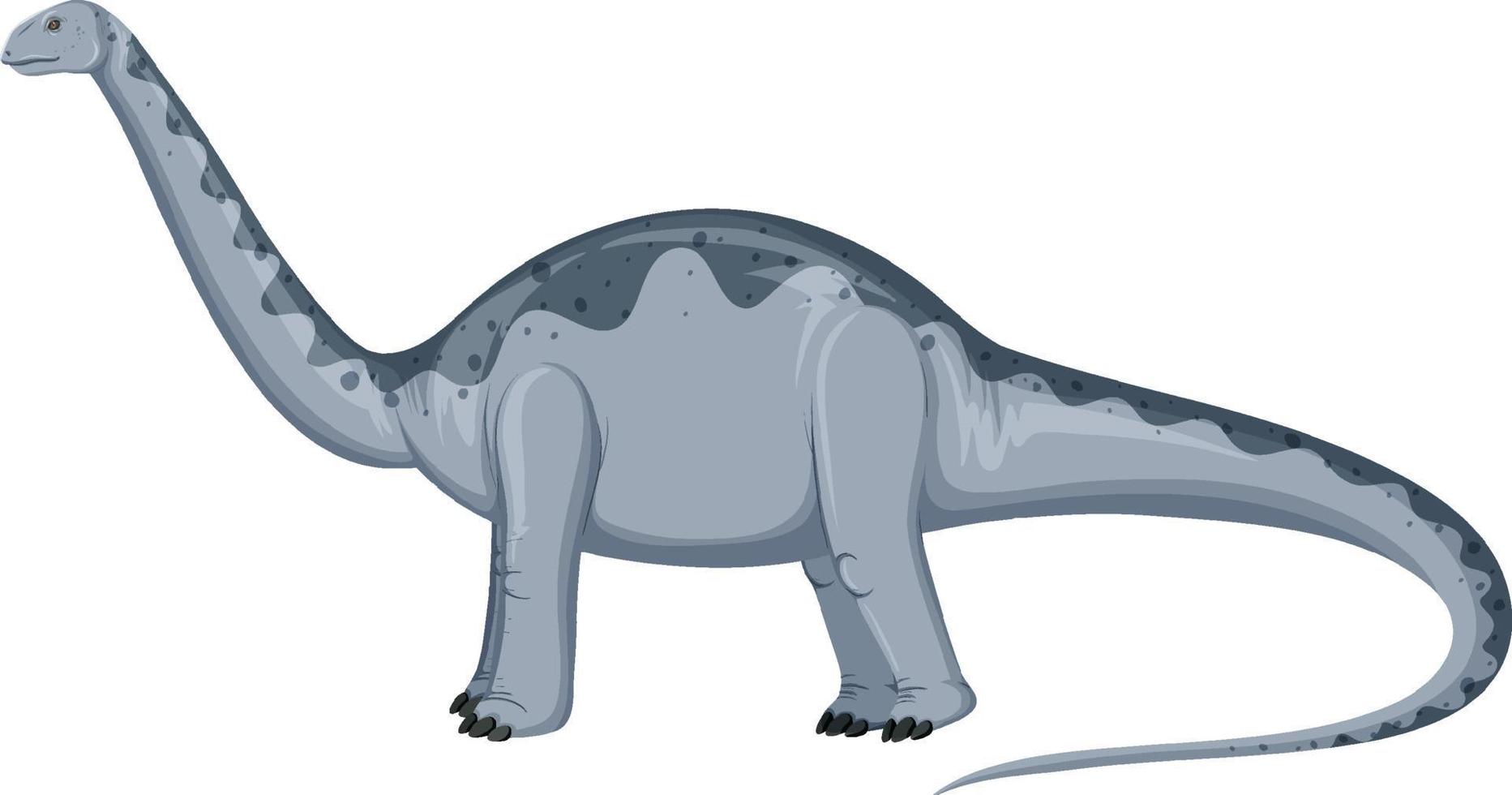 dinosaurio aptosaurus sobre fondo blanco vector