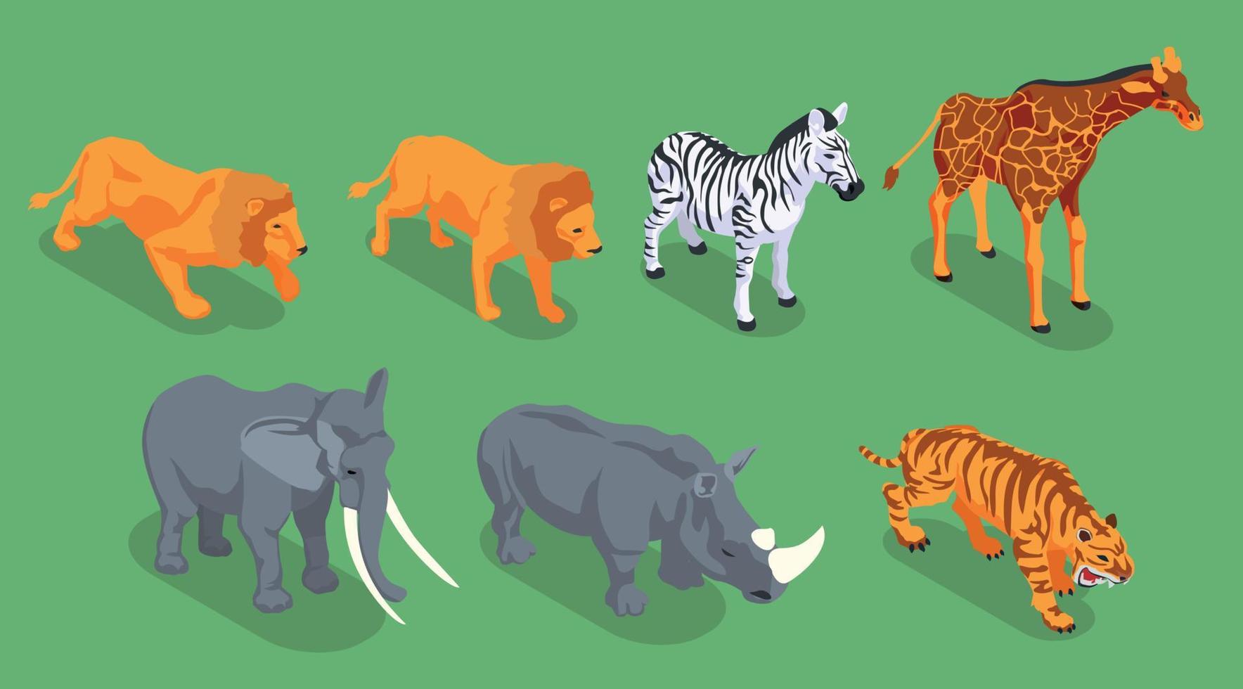 conjunto de iconos de safari isométrico vector