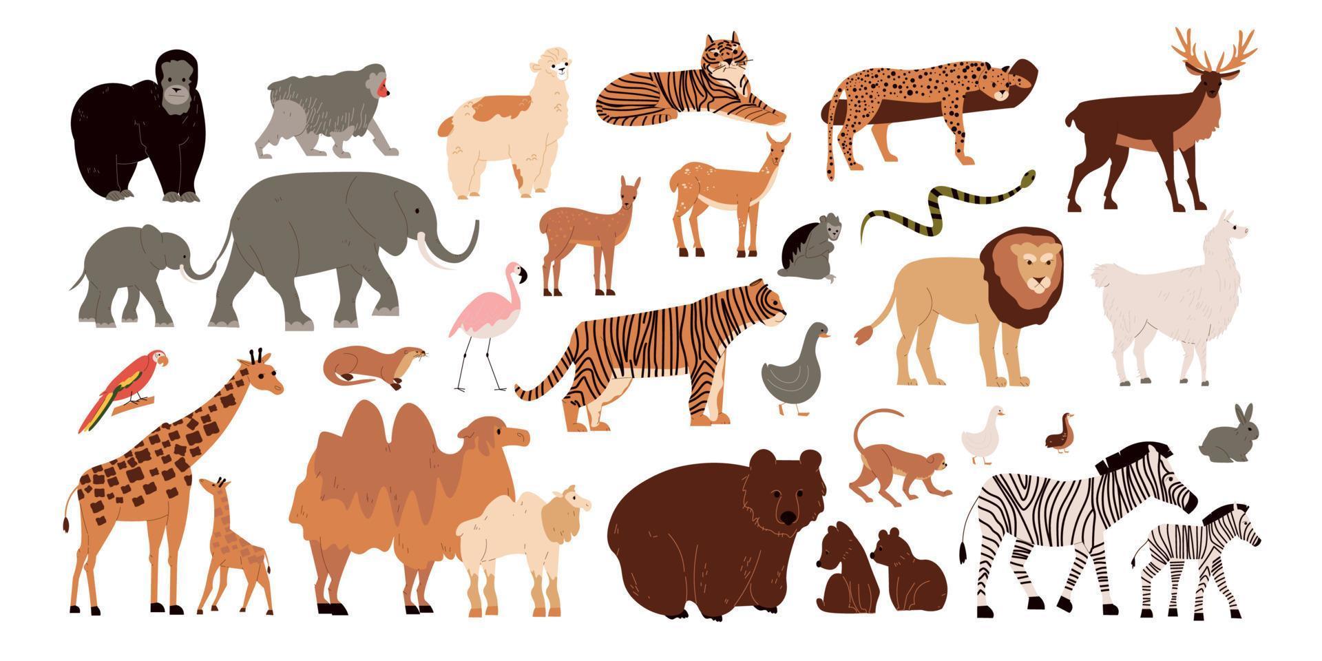 conjunto de animales del zoológico vector