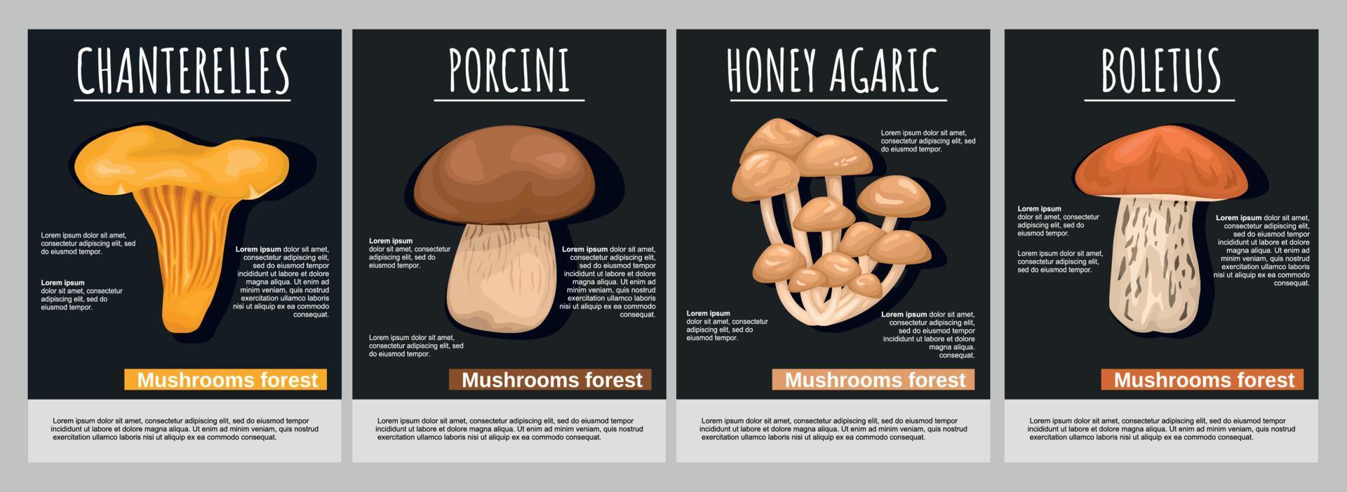 Mushrooms Forest Poster Set vector