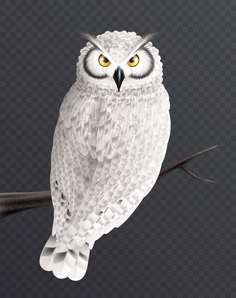 Realistic Snowy Owl Composition vector