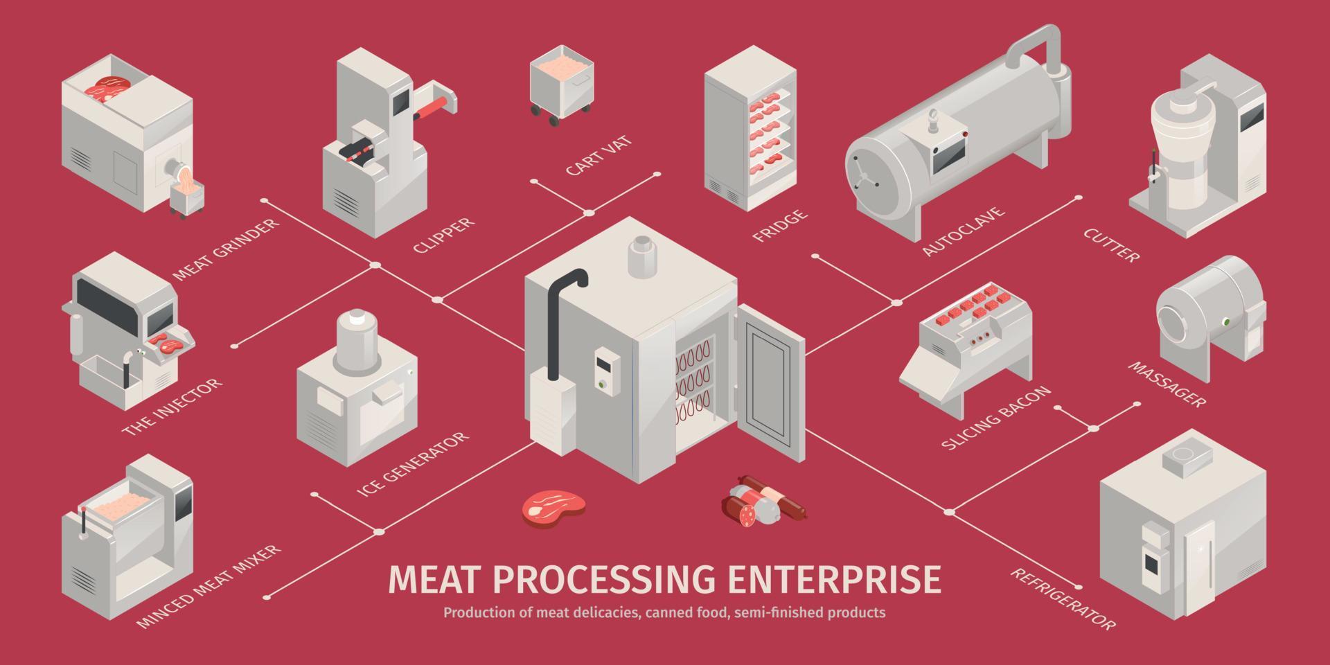 Meat Production Infographics vector