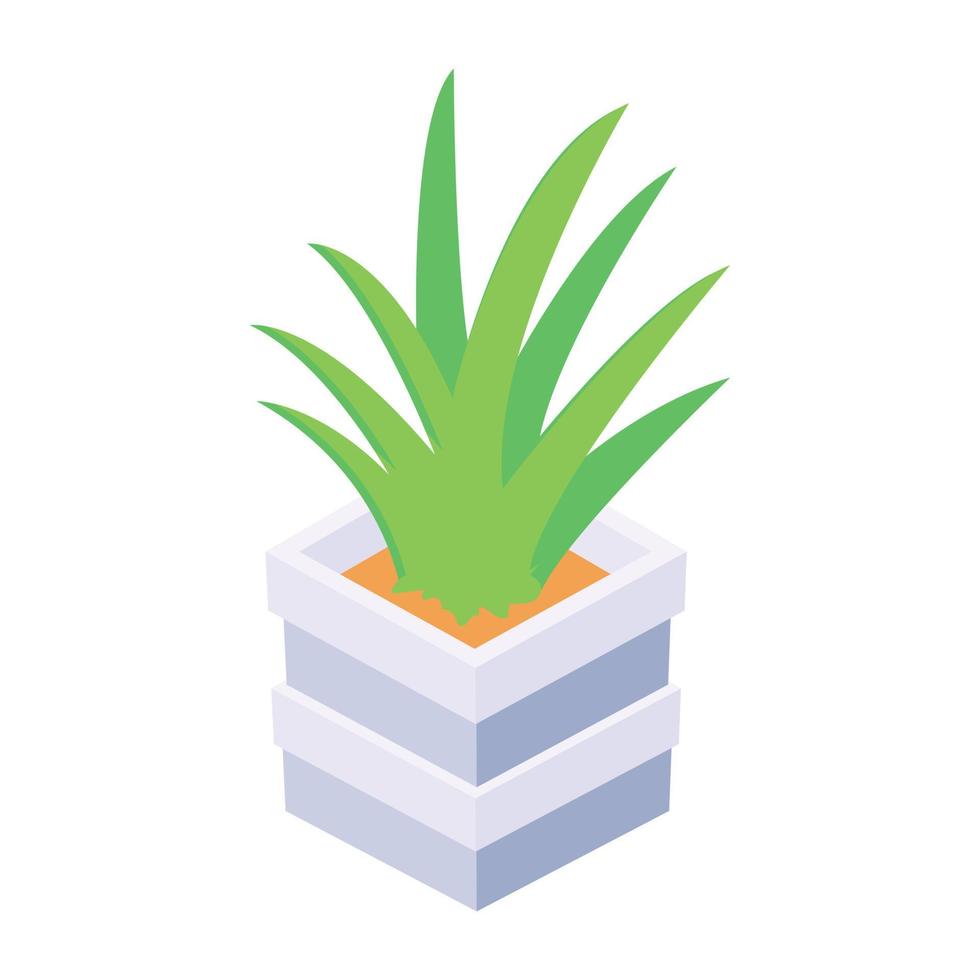Unique and trendy isometric icon of aloe vera plant vector