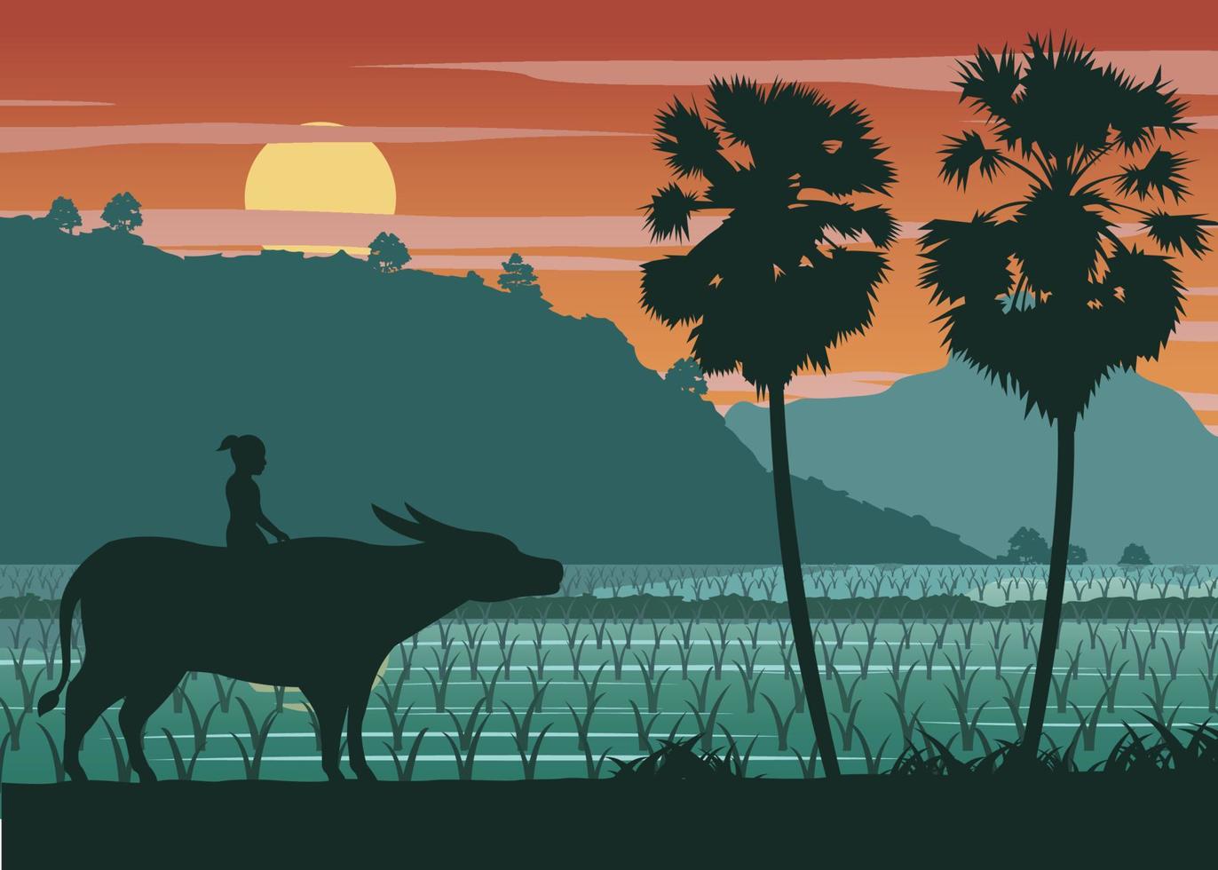 country life of the boy riding buffalo near rice field vector
