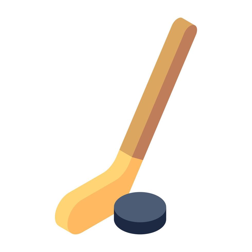 Outdoor club sports, hockey icon of isometric style vector